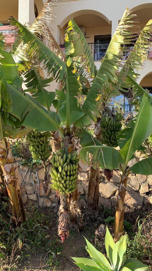 Appartement La Cala De Mijas Toegang Tot Strand Kültér fotó